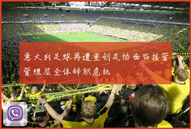 意大利足球再遭重创足协面临接管管理层全体辞职危机